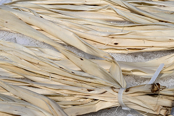 「まんべんなく陽が当たるように」の画像1