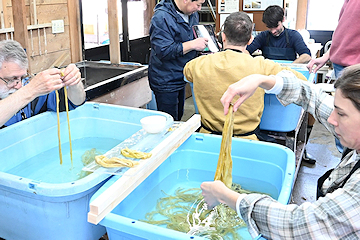 「観光で訪れている外国人が和紙作りを体験」の画像2