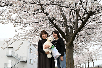 「子育ての駅てくてく裏」の画像
