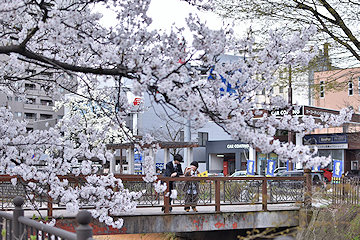 「柿川」の画像2