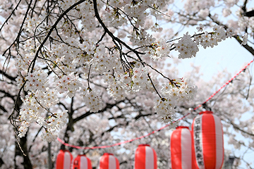 「柿川」の画像3