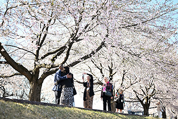 「4日間滞在した訪問団」の画像3