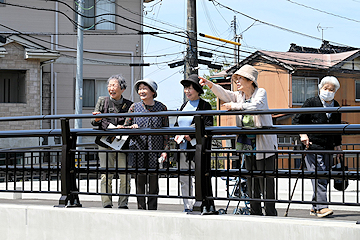 「地元住民から愛されている橋です」の画像2