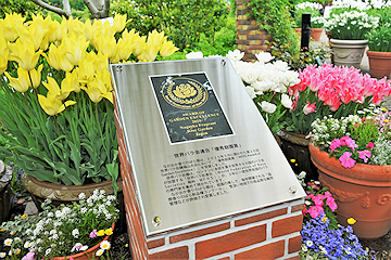 「銘板設置の除幕式」の画像2