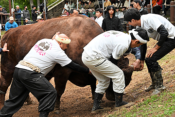「800人の観客から大きな拍手が送られました」の画像1