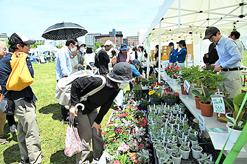 「晴天にも恵まれ、会場は大いににぎわいました」の画像3