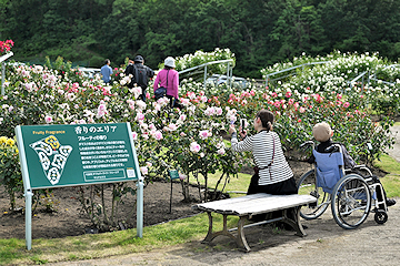 「初日から来園者でにぎわっていました」の画像1