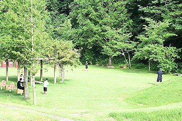 「森林浴ができる遊歩道や芝生広場」の画像2