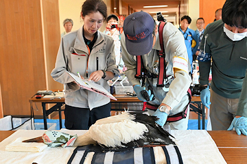「兵庫県立コウノトリの郷公園の専門職員などが協力して実施」の画像2