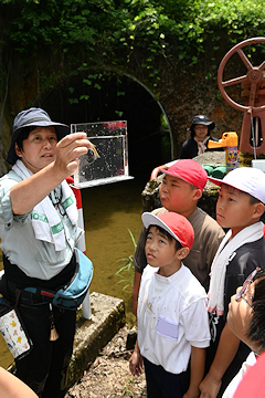 「生き物観察や魚の放流を体験」の画像2