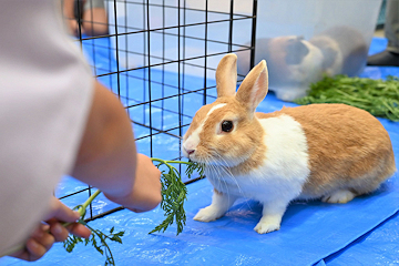 「悠久山小動物園の飼育員に贈りました」の画像