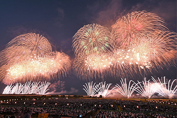 「復興祈願花火フェニックス」の画像