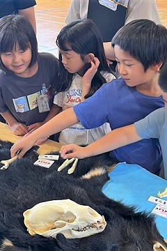 「毛皮や爪、ふんなどを間近で観察」の画像1