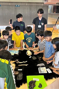 「毛皮や爪、ふんなどを間近で観察」の画像2