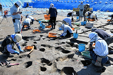 「発掘調査の現場を間近で見学」の画像2