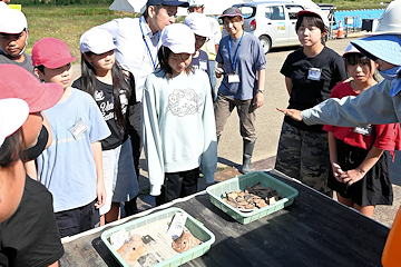 「発掘調査の現場を間近で見学」の画像3