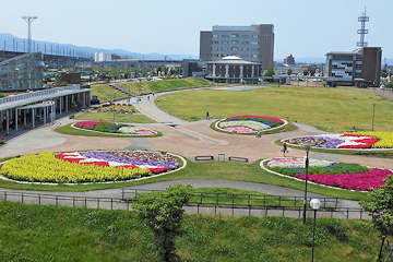 「市民防災公園」の画像