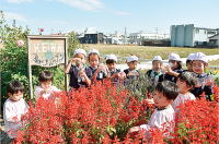 恵和こども園が花づくりで文科大臣賞画像