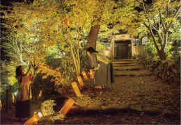 秋の夜長に魅せられて画像