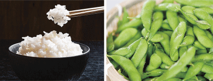 「おいしい長岡産「食材」をPR」の画像