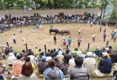 「受け継ぐ、地域の伝統」の画像