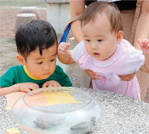 「この生き物はなーに?」の画像