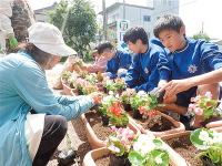 「花のまちづくりで大臣賞」の画像