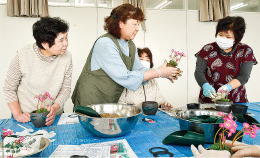 小さな花園を楽しむ画像