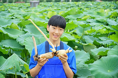 「野菜ソムリエプロの緒方湊さん」の画像