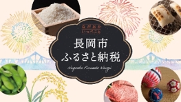 「ふるさと納税特設サイト」の画像