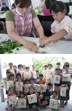 「夏休み親子園芸教室「アイ（藍）の葉のたたき染め」」の画像