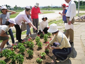 「緑花推進指導員が育て方のコツを伝授」の画像