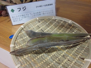 「自分で種子を飛ばす「フジ」」の画像