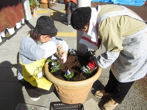 「配置を決めていよいよ植付け」の画像