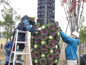 「フラワータワーを冬バージョンに」の画像