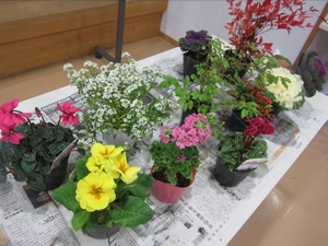 「花と緑の教室「季節の寄せ植えづくり」」の画像