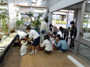 「近隣の長岡南中学校の生徒さんも」の画像