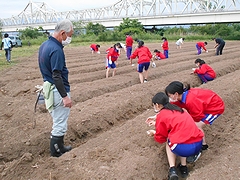 「ひまわりのタネまき作業」の画像1