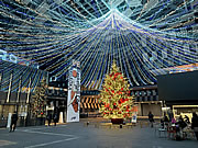 「Aollumination」の画像2