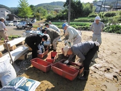 「プランタに土を入れます」の画像