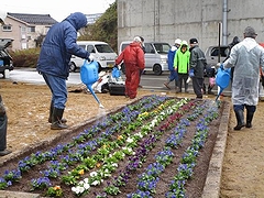 「植えた花に水やり」の画像