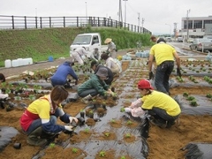 地区住民による花植え