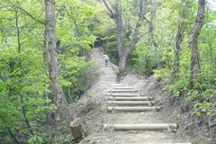 城山遊歩道 