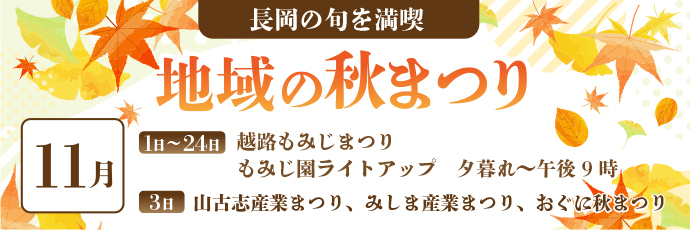 「地域の秋まつり［11月］」のスライドバナー