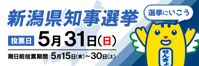 「新潟県知事選挙」のスライドバナー