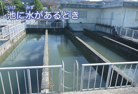 池に水があるとき