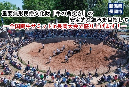 重要無形民俗文化財「牛の角突き」の安定的な継承を目指して―全国闘牛サミットin長岡大会で盛り上げます!―