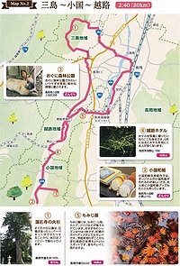 「MAP No.2　三島～小国～越路」の画像