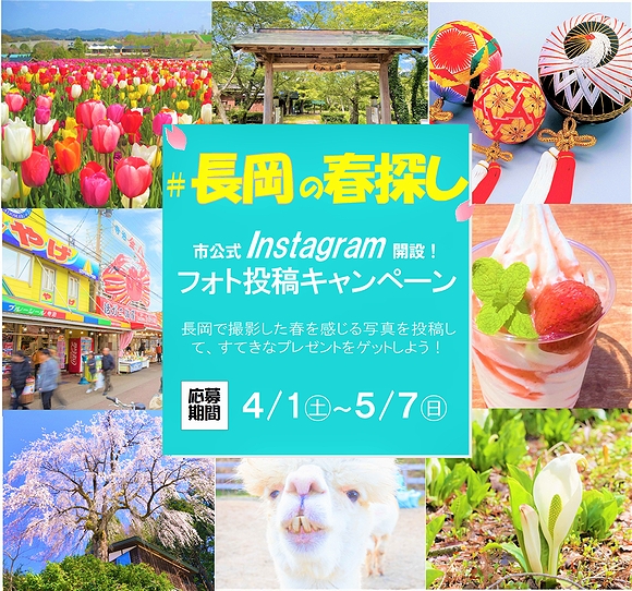 「「#長岡の春探し」 フォト投稿キャンペーン」の画像